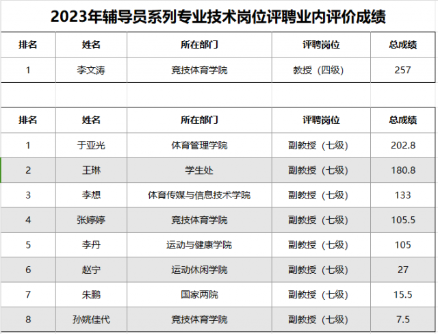 山东体育学院2023年专业技术岗位评聘专家委员会（辅导员）业内评价成绩公示